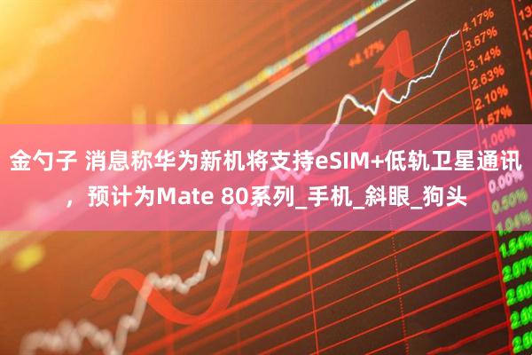 金勺子 消息称华为新机将支持eSIM+低轨卫星通讯，预计为Mate 80系列_手机_斜眼_狗头