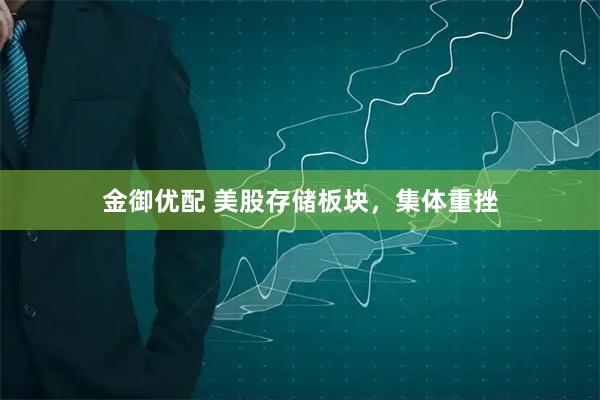 金御优配 美股存储板块，集体重挫