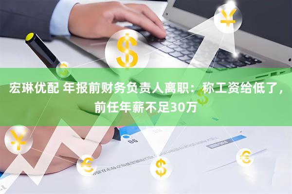 宏琳优配 年报前财务负责人离职：称工资给低了，前任年薪不足30万